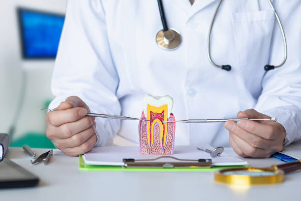 Best Emergency Broken Tooth Repair in South Houston, TX